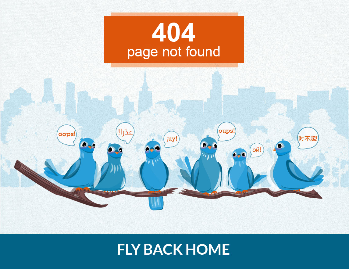 404 Error - page not found