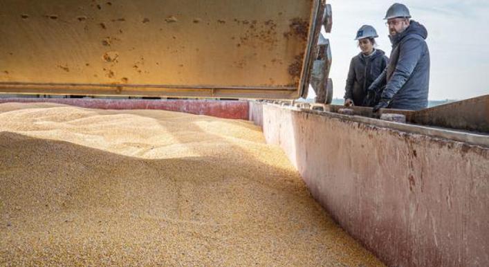 Russia confirms participation in grain deal for at least 60 more days