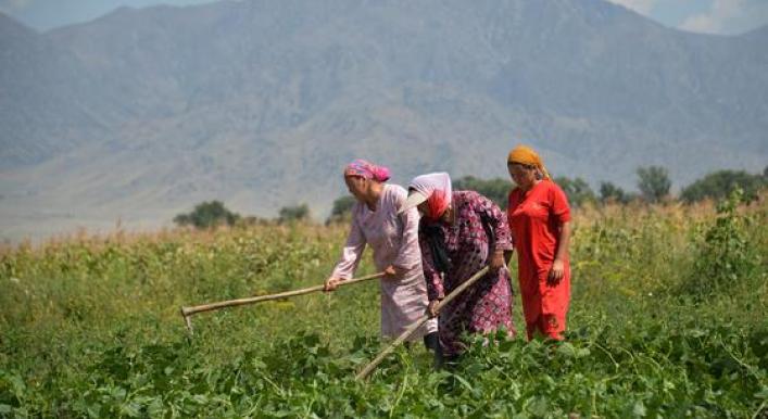 Gender inequalities in food and agriculture are costing world $1 trillion: FAO