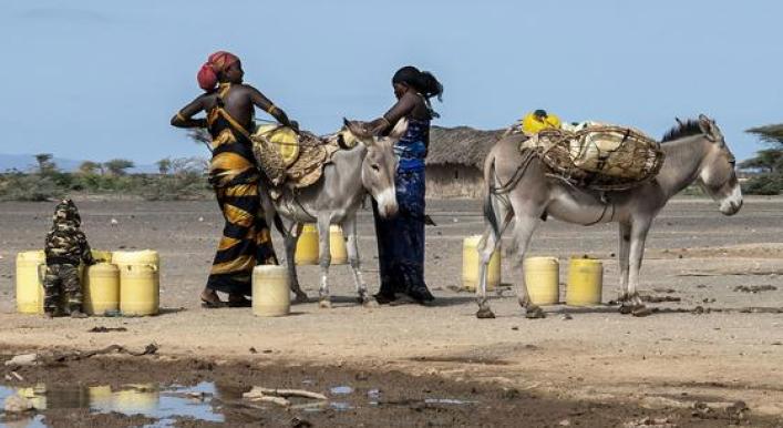 Women suffer disproportionately from ravages of drought, desertification