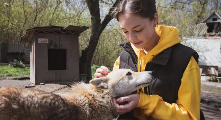 From the Field: Finding a sanctuary for animals in Ukraine