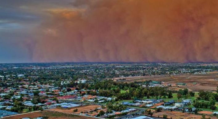 UN issues global alert to combat severe sand and dust storms