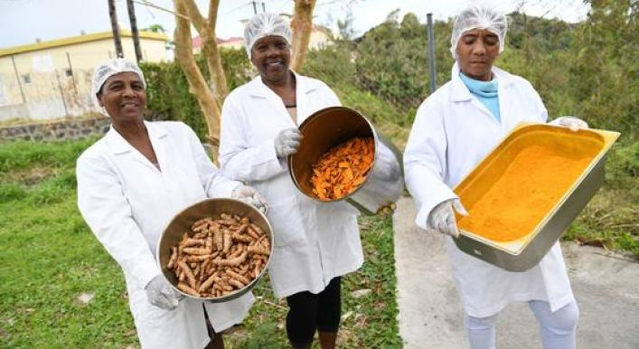 Transformative power of food production in Mauritius: A UN Resident Coordinator blog