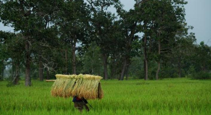 New global fund ‘welcome boost’ to safeguarding biodiversity