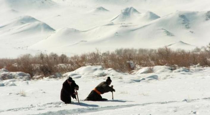 Mongolian dzud: Extreme weather puts 90% of country at ‘high risk’