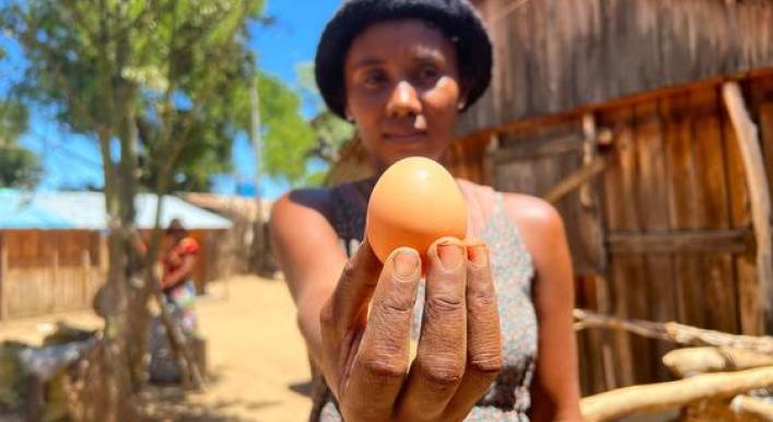 First Person: ‘My eggs are too expensive to eat’ (and that’s a good thing)