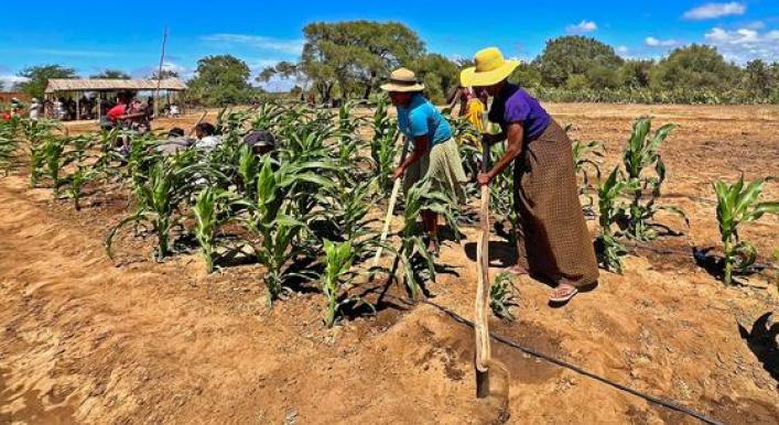 First Person: Water key to cultivating financial independence in southern Madagascar