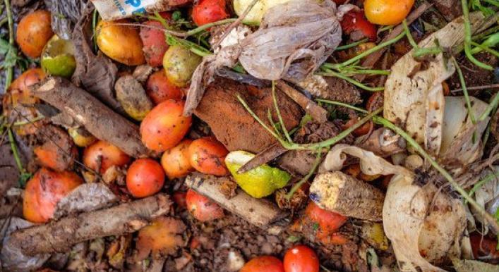 With 783 million people going hungry, a fifth of all food goes to waste