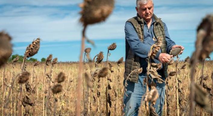 First Person: Vulnerable Ukrainian farmers plough self-sufficient furrow