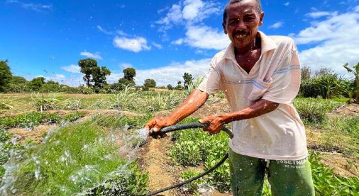 Madagascar: Coordination, convergence and change from the grass roots up