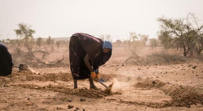 WFP increases response in West and Central Africa to address rising hunger