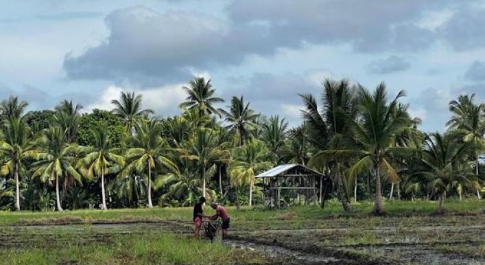 ‘Trust and respect’ feeds interfaith rice growing success in the Philippines