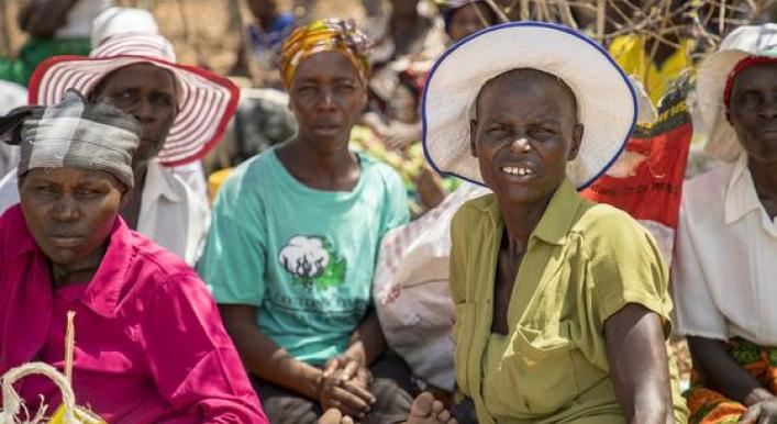 Zimbabwe faces worsening food crisis due to El Niño droughts