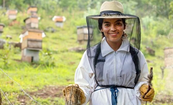 Plenty abuzz on World Bee Day