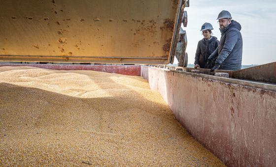 Russia confirms participation in grain deal for at least 60 more days