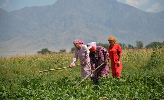 Gender inequalities in food and agriculture are costing world $1 trillion: FAO