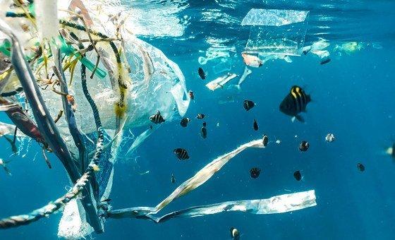 UN agencies head up new $115 million push for cleaner, healthier oceans