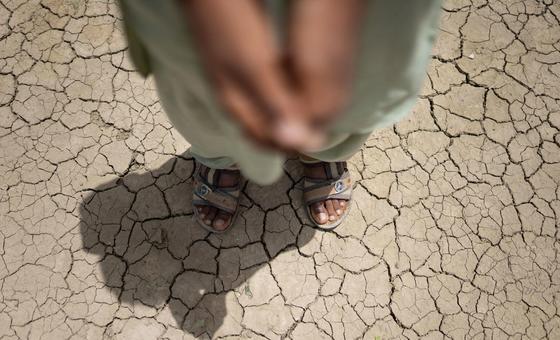 Heatwaves and high temperatures threatening young lives in South Asia: UNICEF