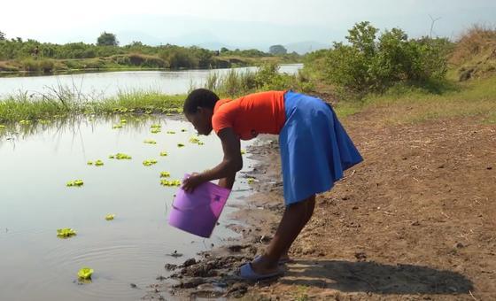 World News in Brief: Water ‘being taken for granted’, global teacher crisis, Nipah in India update