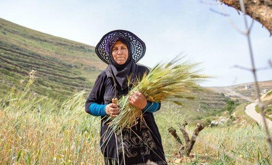 FAO report reveals hidden costs of agrifood systems