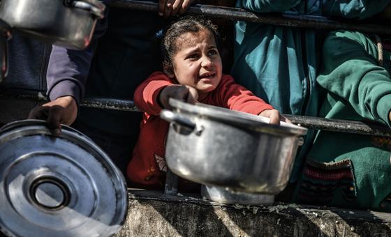 Everyone is hungry in Gaza now: UN humanitarians