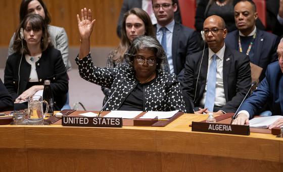 US vetoes Algerian resolution demanding immediate ceasefire in Gaza