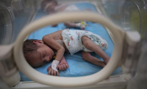 Gaza: Increasing numbers of newborns on brink of death, agencies warn