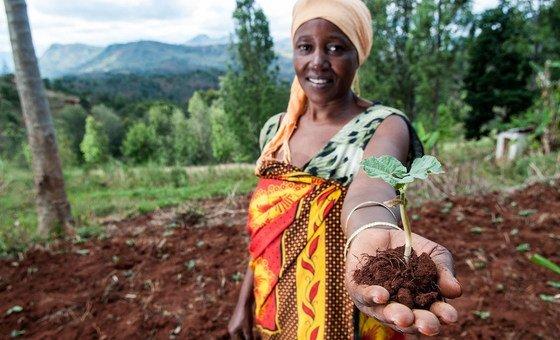 UN focus on plant health, crucial for boosting food security worldwide