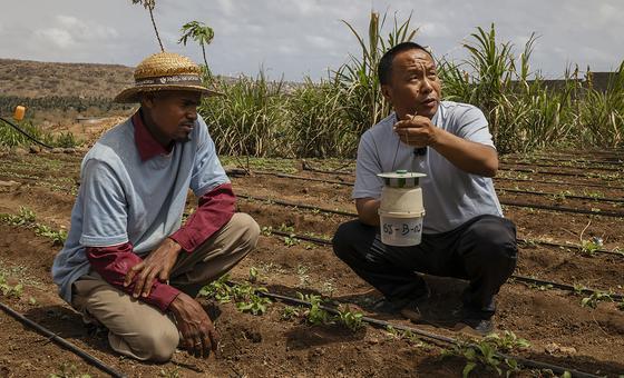 Cabo Verde beats back climate change through South-South cooperation