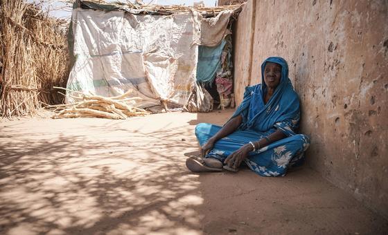 Security Council demands end to siege of El Fasher in Sudan