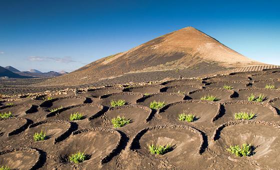 Stop ‘vandalising’ Earth and help the planet thrive, UN chief urges