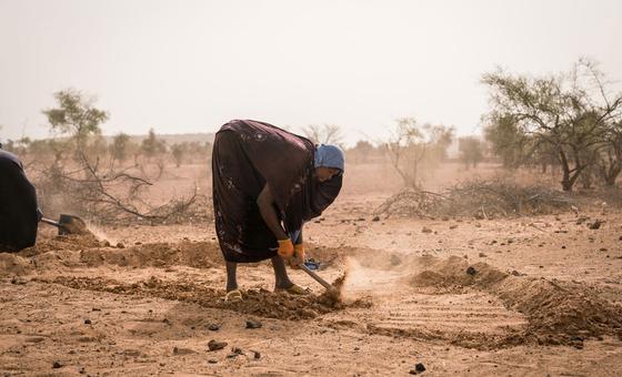 WFP increases response in West and Central Africa to address rising hunger