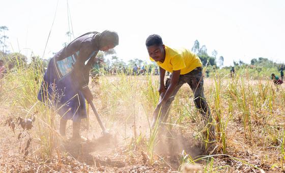 UN and partners launch emergency appeal to address severe drought in Malawi