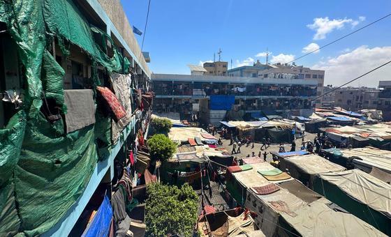 Gaza: Vital aid supplies running low as schools hit in further strikes