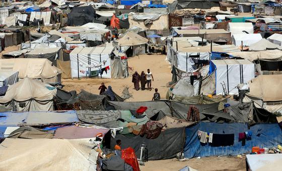 UPDATING LIVE: Security Council due to meet on Gaza as WHO announces polio pauses for lifesaving vaccination campaign