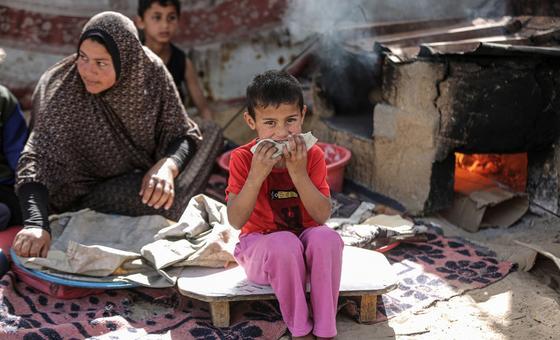 WFP continues to support millions amid ongoing wars in Gaza and Ukraine