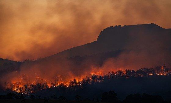 We must do more to keep the air we breathe clean: UN weather agency