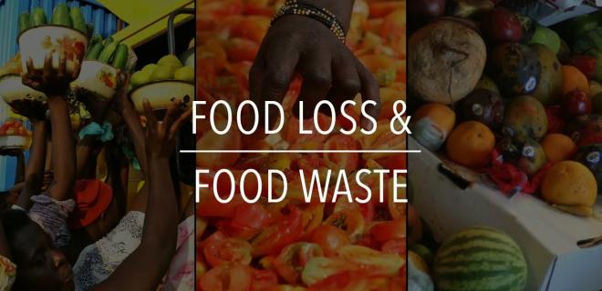 Food Loss and Food Waste